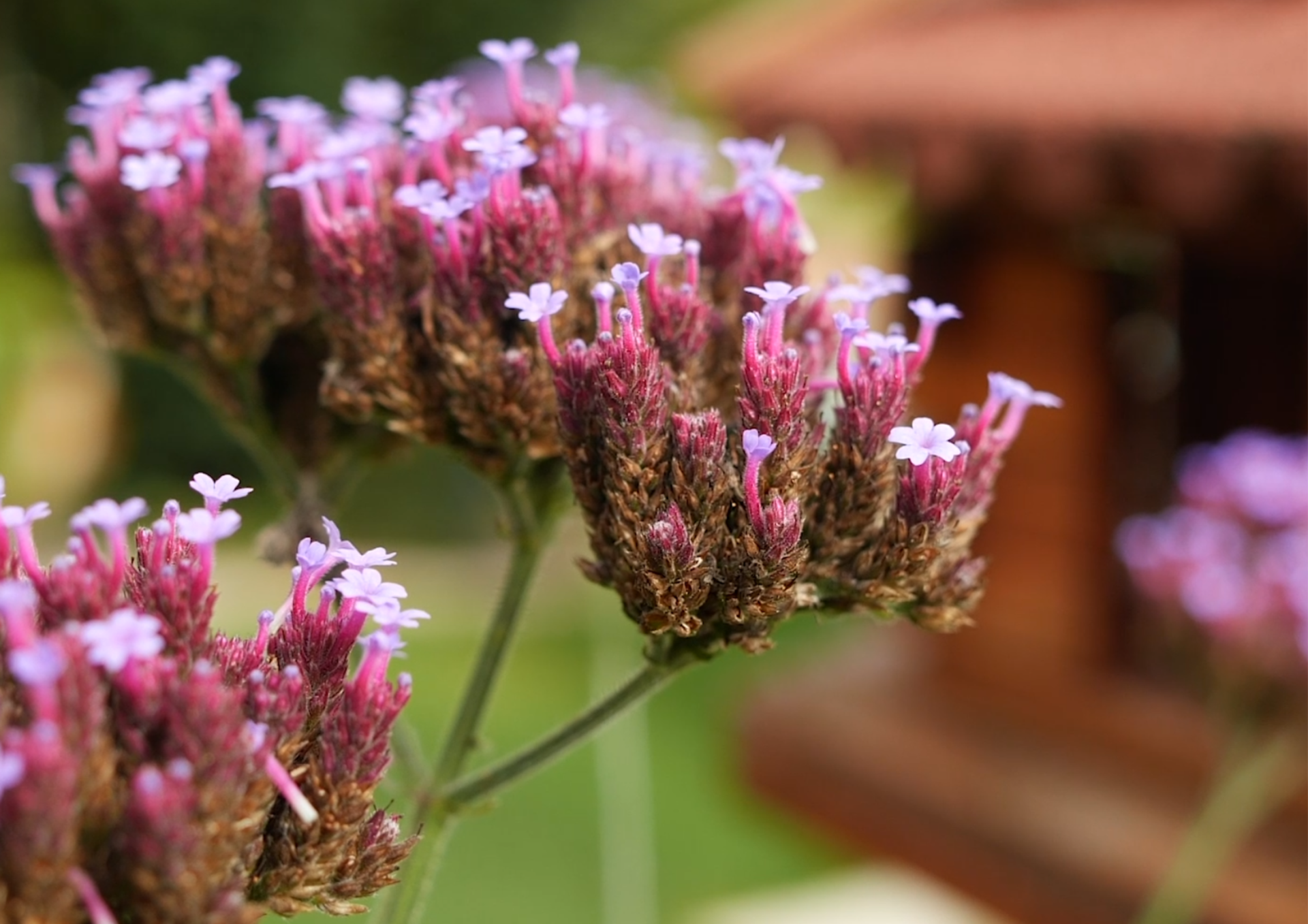 Treppenlift_außen_Vogelhaus_Bodensee